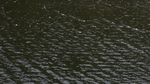 Light reflections in the river Stock Footage 154971006