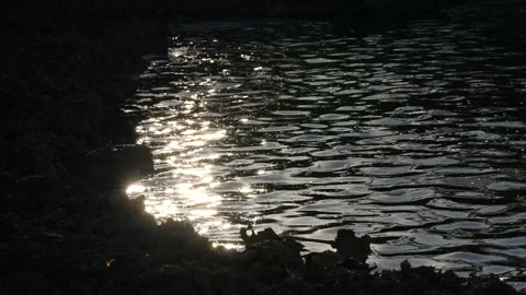 Light Reflections Shimmering on Water Stock Footage 305957288