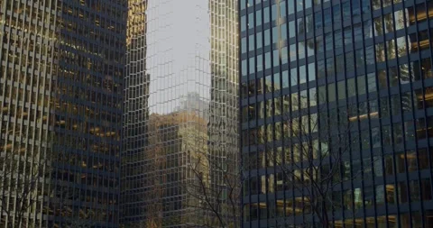 Light reflections sunbeams on skyscrapers. Captivating cityscape featuring Stock Footage 277199779