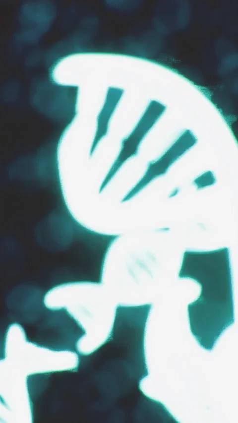 Light representation of DNA structure in an artistic setting at night Stock Footage 334262797