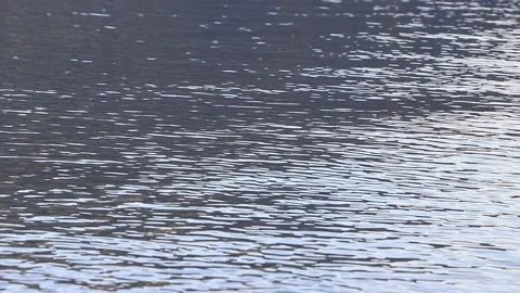 Light ripples, movement of the lake surface Stock Footage 144282427