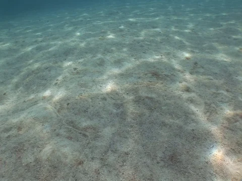 Light ripples on sandy bottom Stock Footage 98503415