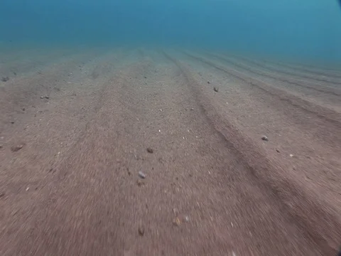 Light ripples on sandy bottom Stock Footage 98503446