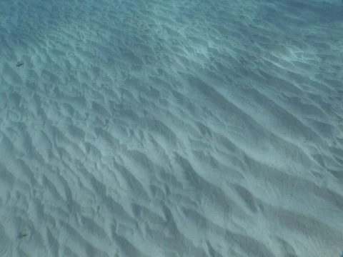 Light ripples on sandy bottom Stock Footage 98503478