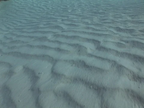 Light ripples on sandy bottom Stock Footage 98503560