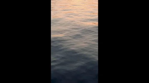 The light of the rising sun is reflected on the dark water Stock Footage 293469618
