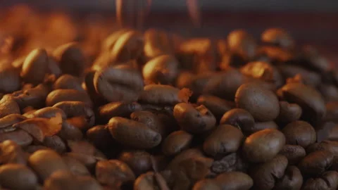 Light roasted arabica coffee bean pouring Stock Footage 280049246