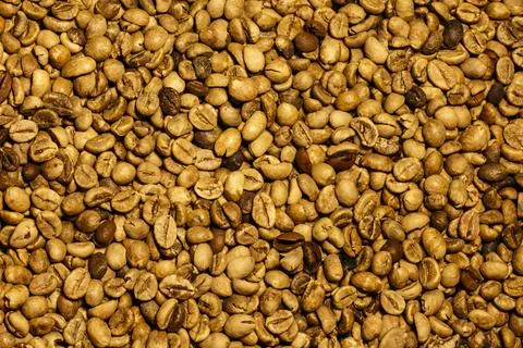 Light roasted yellow coffee beans. Yellow coffee beans wallpaper and texture Stock Photos