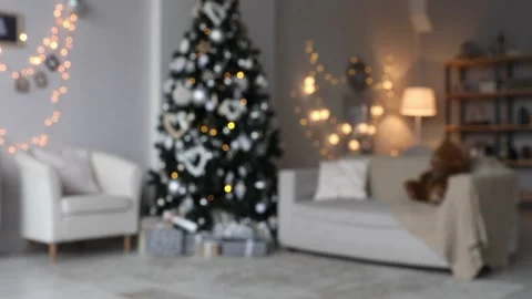 Light room with christmas interior Vidéo 99610901