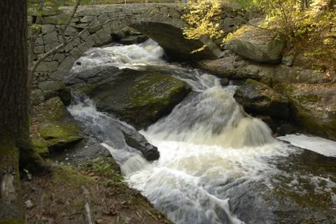 Light on rushing stream filtered through autumn foliage Stock Photos