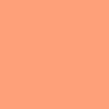 Light Salmon Background. Seamless Solid Color Tone. Html Colors. HEX #FFA07A, イラスト素材