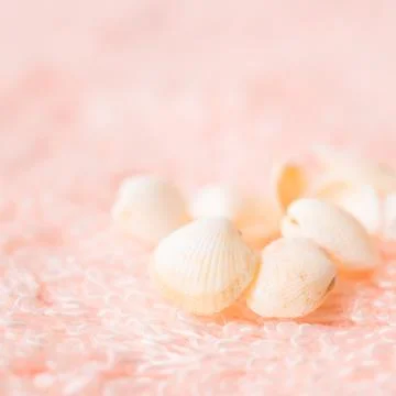 Light sea shells on soft pink terry texture, closeup 写真素材