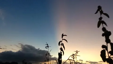 The light of the setting sun in the countryside. Stock Footage 335697590