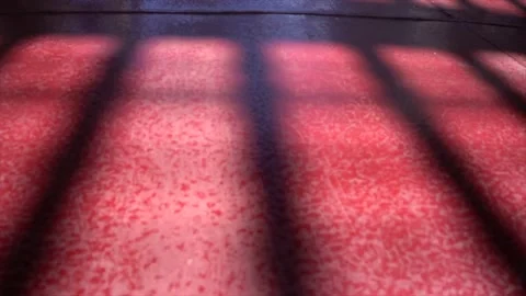 Light Shadows Видео 141688941