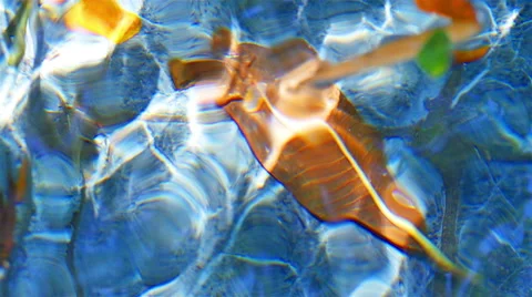 Light sheen on the surface Stock Footage 49972801