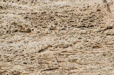 Light shell rock for designers. Stock Photos