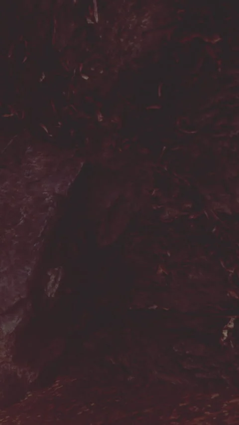 Light shines on dark cave walls showing textures and shapes in nature Stock Footage 337975277