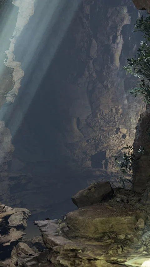 Light shines down in a cave with rocks and plants during the day Stock Footage 331753180