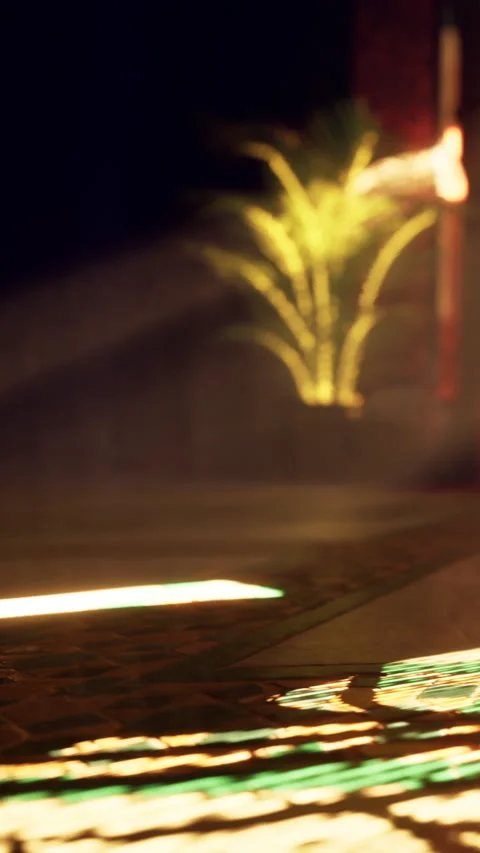 Light shines on a path near a plant at night in an outdoor area Stock Footage 342656247