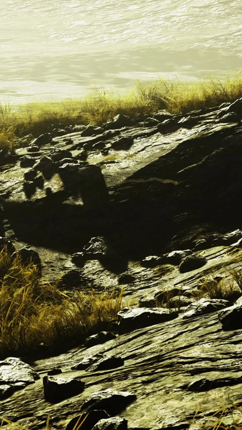 Light shines on rocks and grass near a water body during dusk Stock Footage 334263941