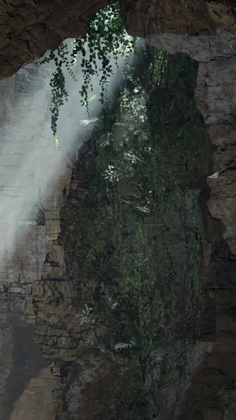Light shines on a rocky surface in a cave filled with plants and shadows Stock Footage 331765405
