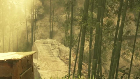 Light shines through bamboo trees in a forest setting near a stone path Stock Footage 342051019