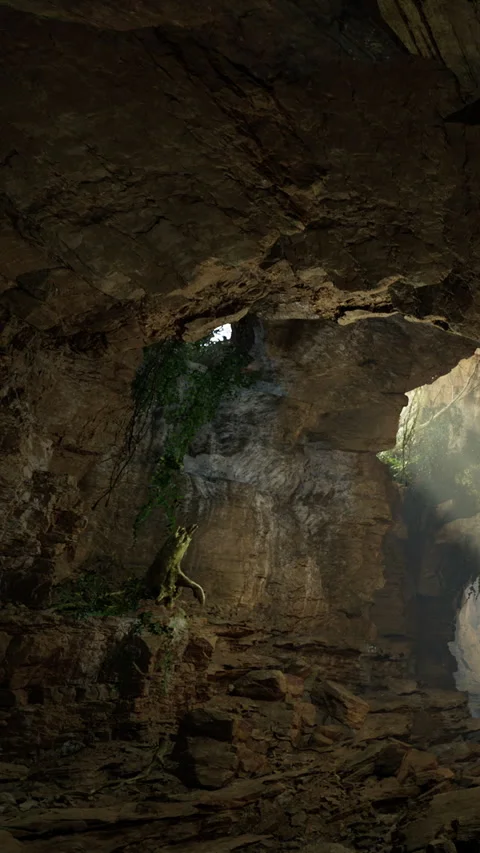 Light shines through a cave opening revealing natural elements inside Stock Footage 331749705