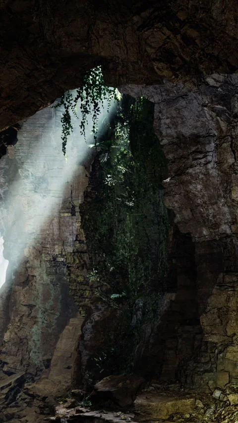Light shines through a cave opening and highlights green plants inside Stock Footage 331760978