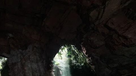 Light shines through a cave opening in a dense forest during the day Stock Footage 344551858