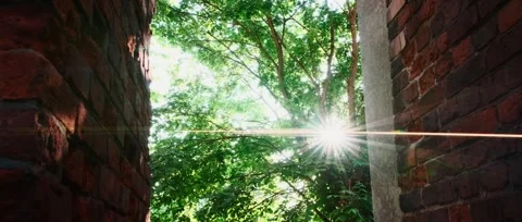 Light shines through the city's gap, revealing the beauty of nature at noon. Stock Footage 319556386