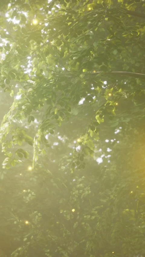 Light shines through leaves in a forest during daytime in late spring Stock Footage 340645713