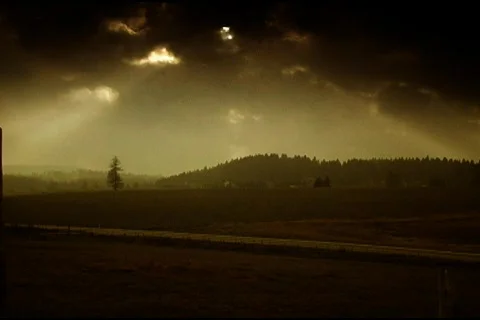 Light shines on tree Stock Footage 110759