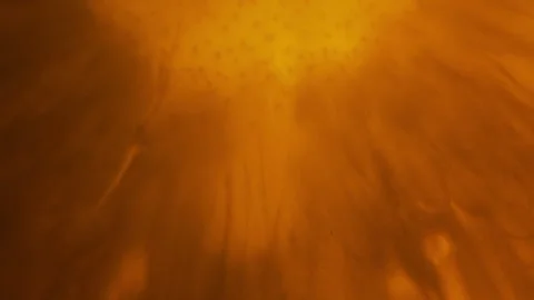 Light shining behind the pineapple slice. Abstract fruit background Stock Footage 293627702