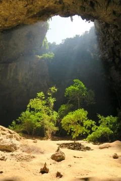 Light shining on the jungle in a cave Stock Photos