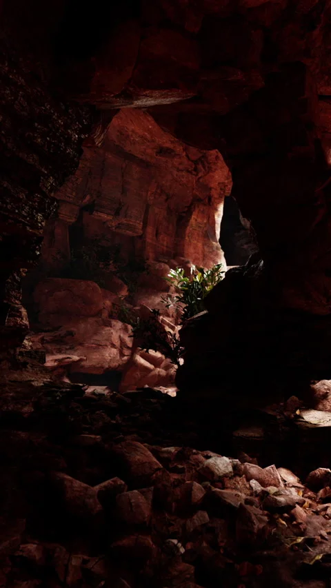 Light shining through an arch in a cave with green plants in the background Stock Footage 341246255