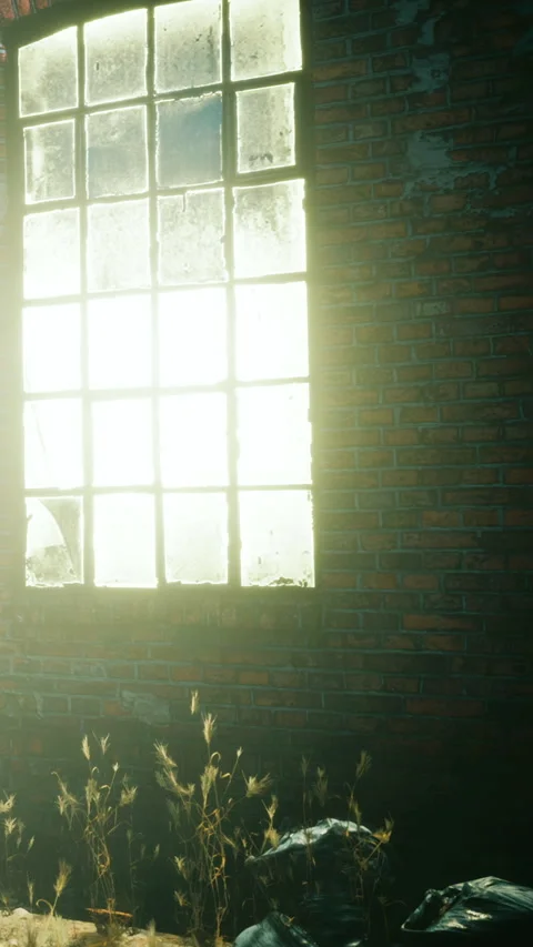 Light shining through a large window in an old brick building Stock Footage 342650671