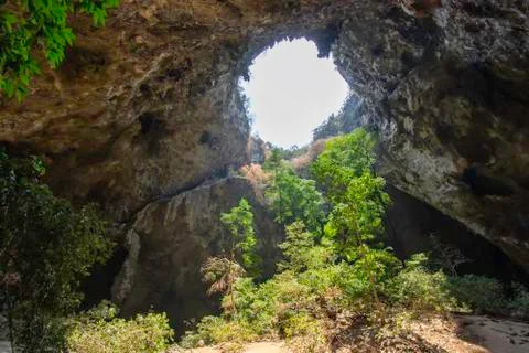 The light shining through trees from top to bottom inside the cave at Phraya  Stock Photos