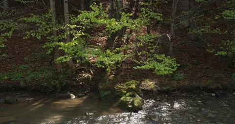 The light shining on the water, tilt down, 4k Stock Footage 89647565