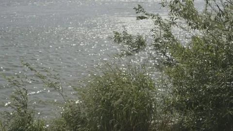 Light Shining on a Wild River Stock Footage 81513111