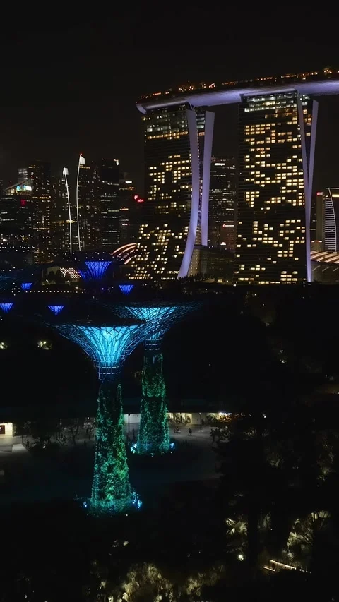 Light show in Gardens by the Bay park, Stock Video Pond5