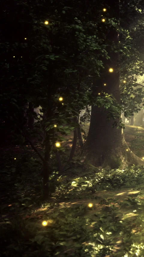 Light shows in the forest with fireflies and trees during night time Stock Footage 331675356