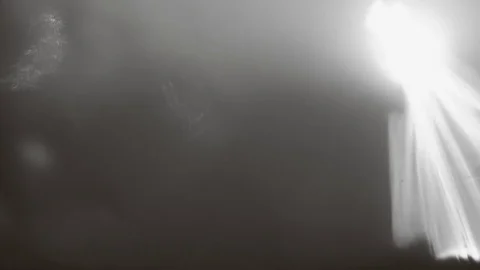 Light silhouettes background no color Stock-Footage 73098697