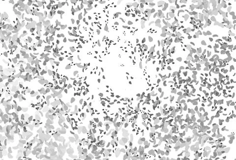 Light Silver, Gray vector backdrop with abstract shapes. 스톡 일러스트