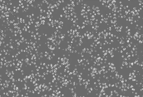 Light Silver, Gray vector layout with circle shapes. Illustrazione stock
