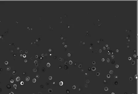 Light Silver, Gray vector pattern with spheres. Illustrazione stock