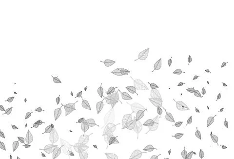 Light Silver, Gray vector sketch template. Stock Illustration
