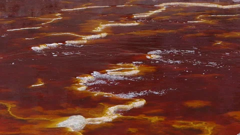 Light snakes Stock Footage 103057234