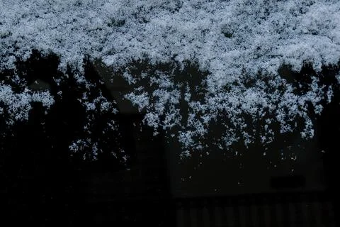 Light snow accumulation on a dark surface at twilight during the winter season Stock Photos