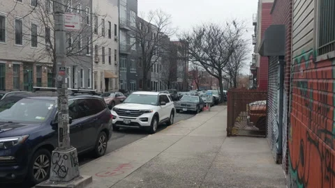 Light Snow Brooklyn Stock Footage 230061345