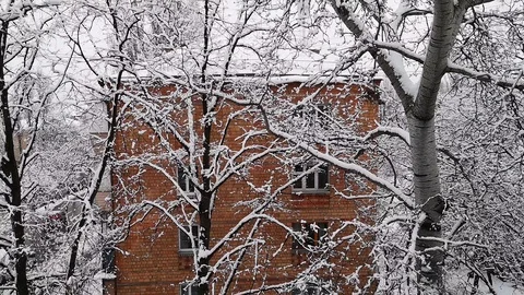 Light snow in the city Stock Footage 103857896